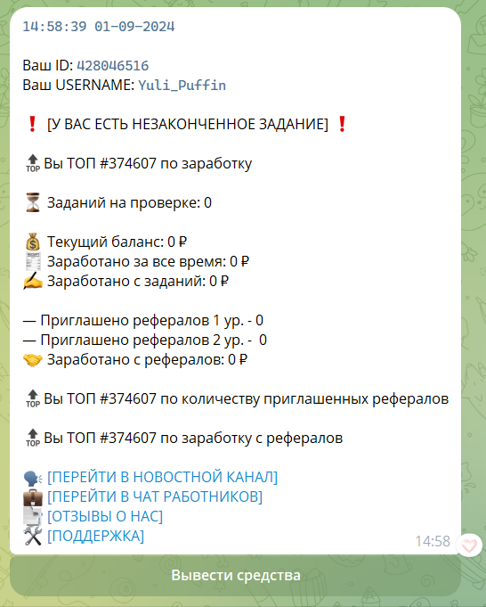 Личный кабинет в @seonewschannel боте